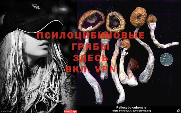 COCAINE Алзамай