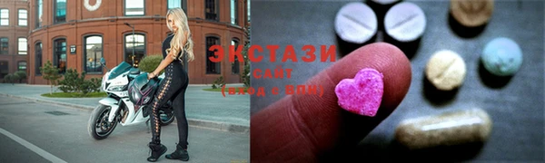 СК Алексин