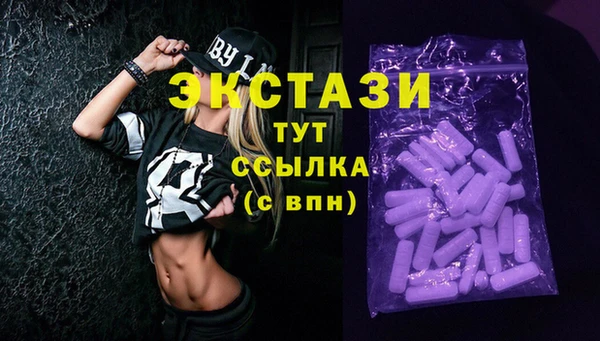 СК Алексин