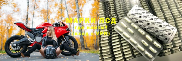 СК Алексин