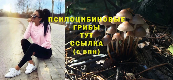СК Алексин