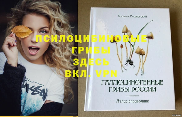 герыч Кинешма