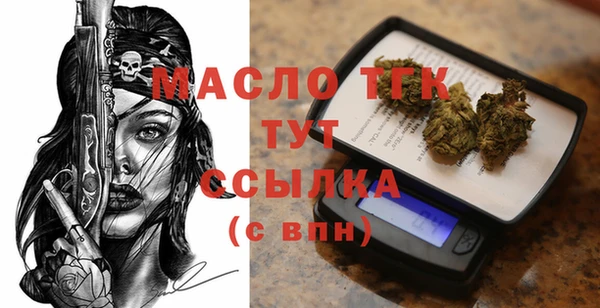 СК Алексин
