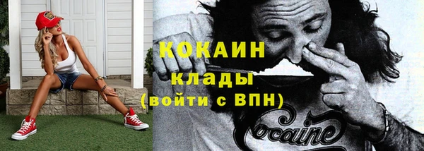 дмт Киреевск