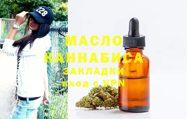 СК Алексин